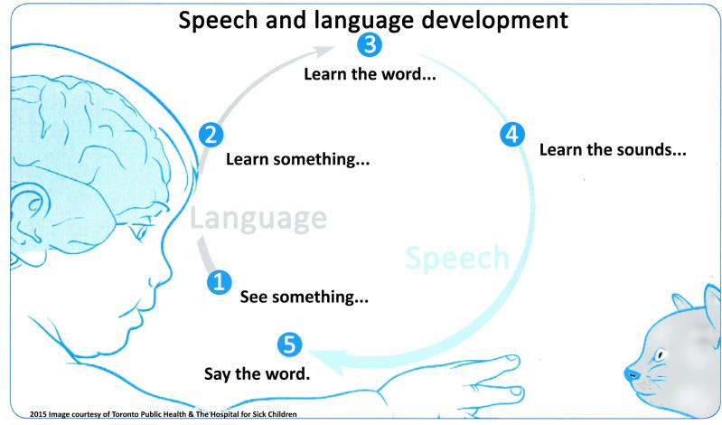 Eight Year Old Milestones - The Center For Speech & Language Development
